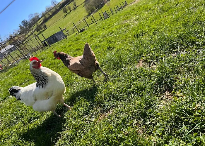 La Bricole
